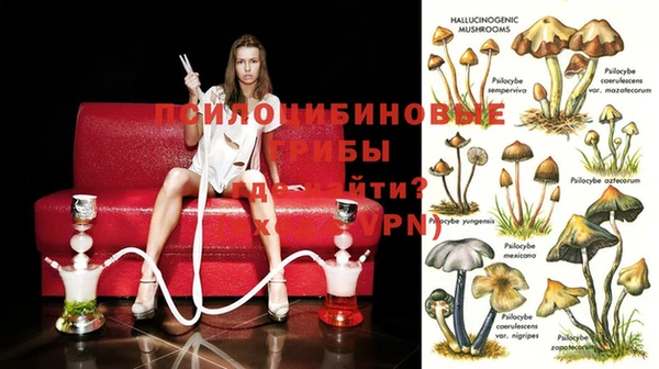соль курить ск Алексеевка