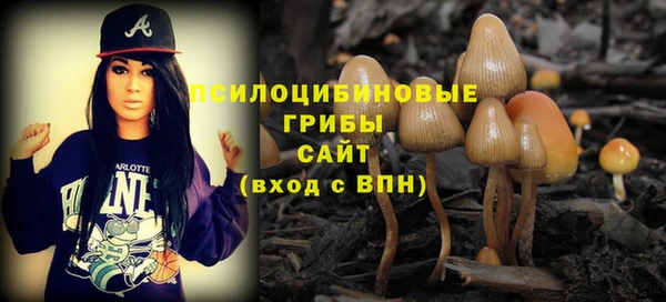 соль курить ск Алексеевка
