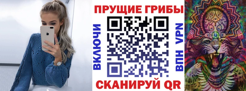 даркнет сайт Талица Галлюциногенные грибы Psilocybine cubensis